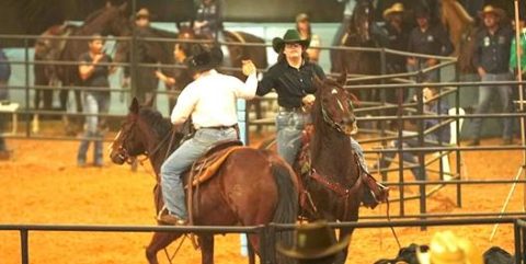 São João da Boa Vista recebe terceira etapa do Mega Ranch Mangalarga 2026