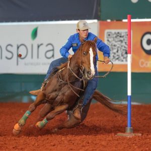 Seis Balizas registra crescimento de 78,8% e vive novo momento no Campeonato Nacional