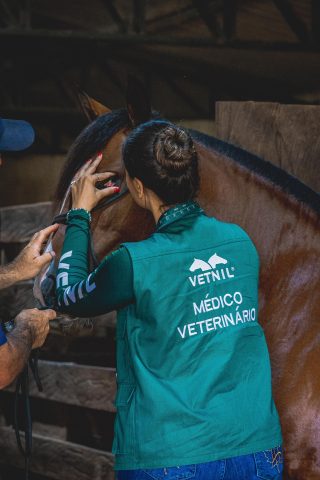 Vetnil reforça compromisso com a medicina veterinária equina durante a XXVI Conferência Anual da ABRAVEQ