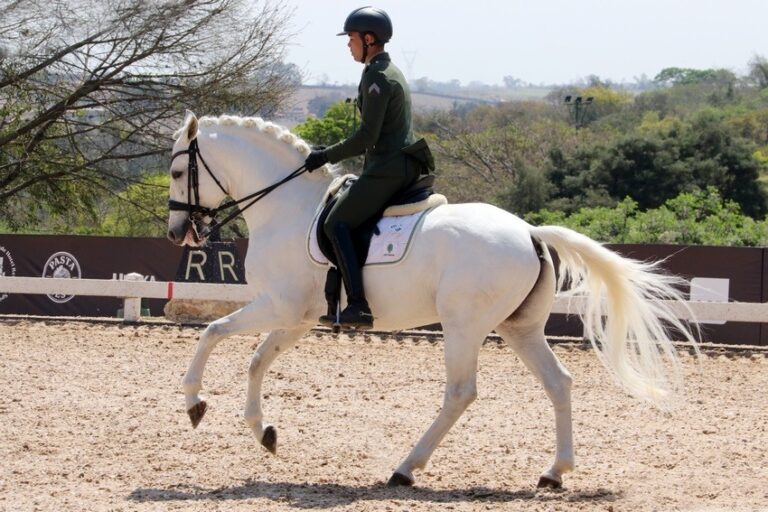 Brasil inicia preparação para o Mundial de Adestramento em Aachen