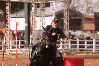 Campeonato Brasileiro de Esportes terá leilão de cavalos com aptidão esportiva