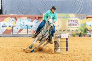 Cavalo Árabe ganha espaço na Expointer 2026 com foco na funcionalidade e formação de novos competidores