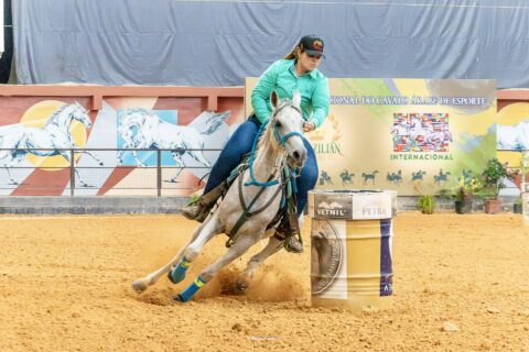 Cavalo Árabe ganha espaço na Expointer 2026 com foco na funcionalidade e formação de novos competidores