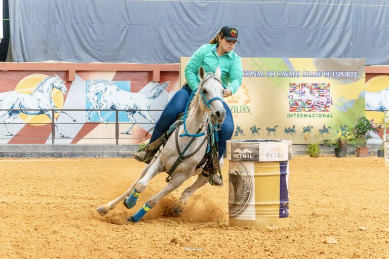 Cavalo Árabe ganha espaço na Expointer 2026 com foco na funcionalidade e formação de novos competidores