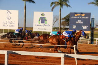 Fantastic Beduíno WA vence o 48º GP Potro do Futuro ABQM em Sorocaba