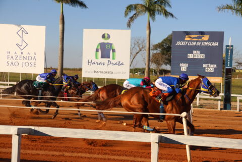 Fantastic Beduíno WA vence o 48º GP Potro do Futuro ABQM em Sorocaba