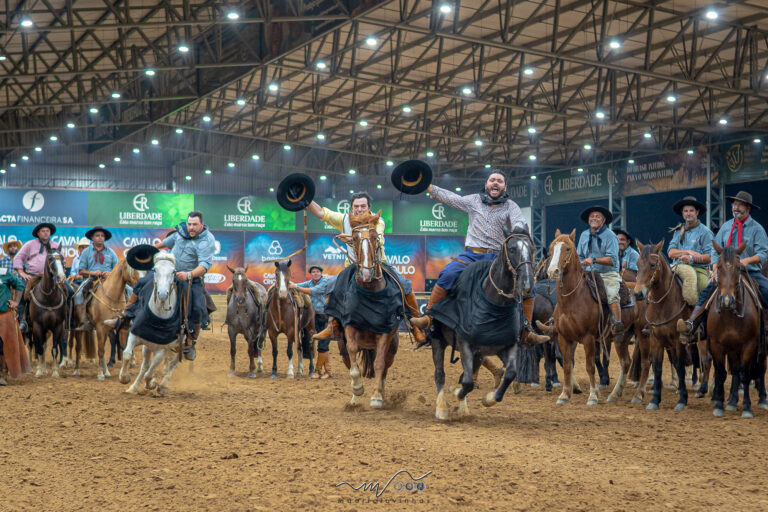 Final Nacional da Campereada e Team Penning abre inscrições em setembro