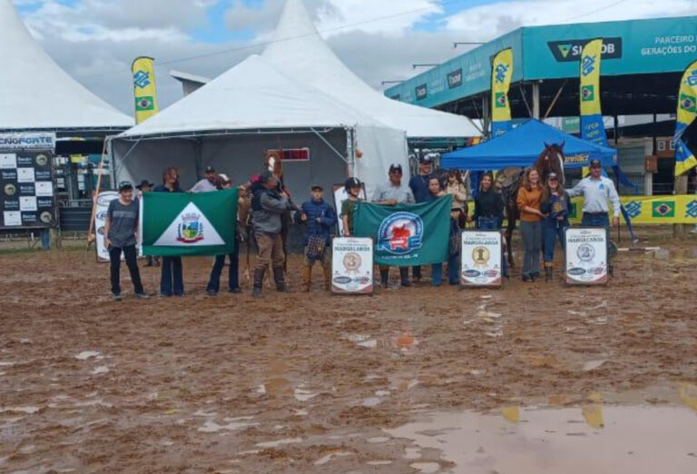 Paranaense de 12 anos vence três categorias na prova de 5 Tambores do Mangalarga na Expointer