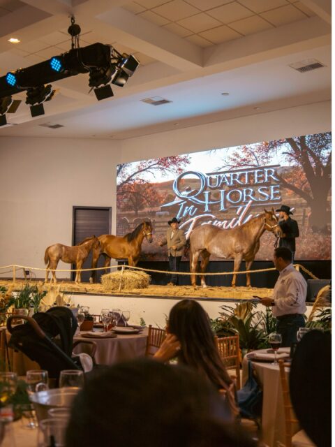 16º Leilão Quarter Horse In Family movimenta R$ 12,3 milhões em dois dias