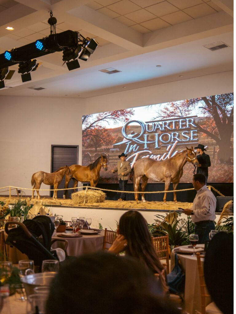 16º Leilão Quarter Horse In Family movimenta R$ 12,3 milhões em dois dias