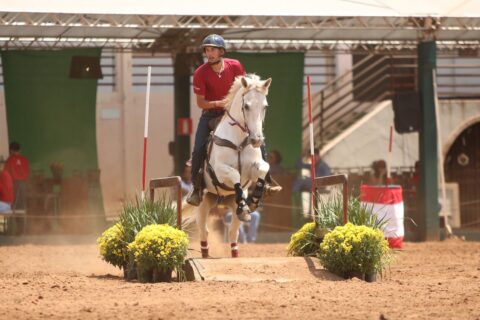 Campeonato Brasileiro de Esportes do Mangalarga Marchador começa nesta quarta-feira em BH