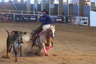 Campo Grande receberá quatro eventos nacionais de Laço Comprido da ABQM