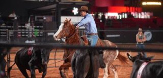 Duplas do Mega Ranch Mangalarga conquistam fivela e pódio geral no Jaguariúna Rodeo Festival