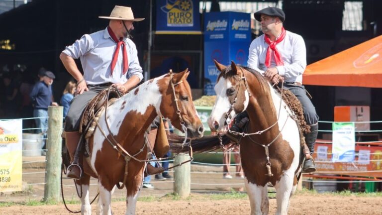 Paint Horse ganha destaque na Expointer em prova que celebra a tradição gaúcha