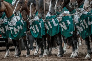Prêmio Revelação Vetnil mobiliza mais de 2 mil votos e celebra conquistas na Expointer 2026