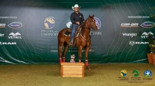 Criação do Haras Raphaela se destaca em diversas categorias do Potro do Futuro ABQM