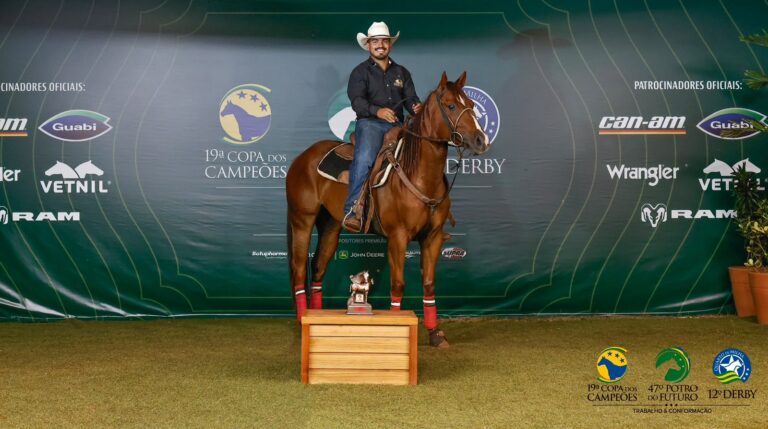 Criação do Haras Raphaela se destaca em diversas categorias do Potro do Futuro ABQM
