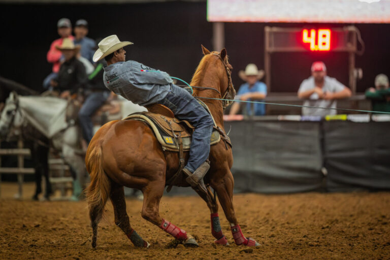 Junior Nogueira encerra temporada regular da PRCA na liderança e supera US$ 251 mil em ganhos