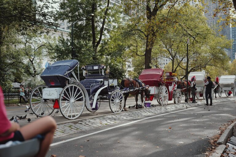 Nova York aprova fim das carruagens puxadas por cavalos e prevê transição até 2028