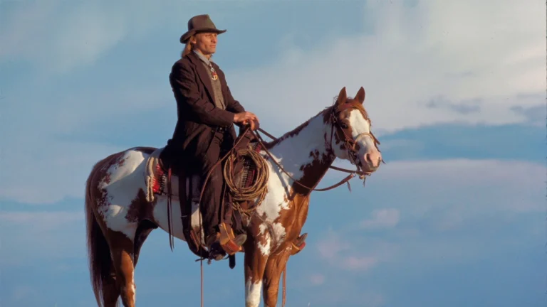 O que aconteceu com os cavalos mais famosos de Hollywood depois das filmagens?